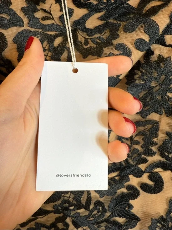 Revolve Lovers and Friends Birch Lace Mini Dress in Black - Picture 6 of 9